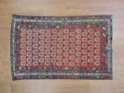 KOKO-2394